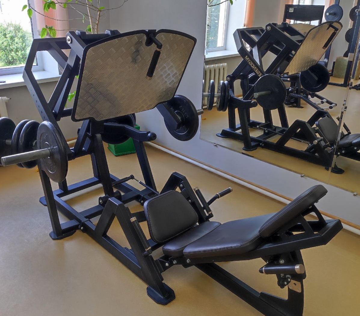 силовые тренажеры legendgym в СК Рогачев
