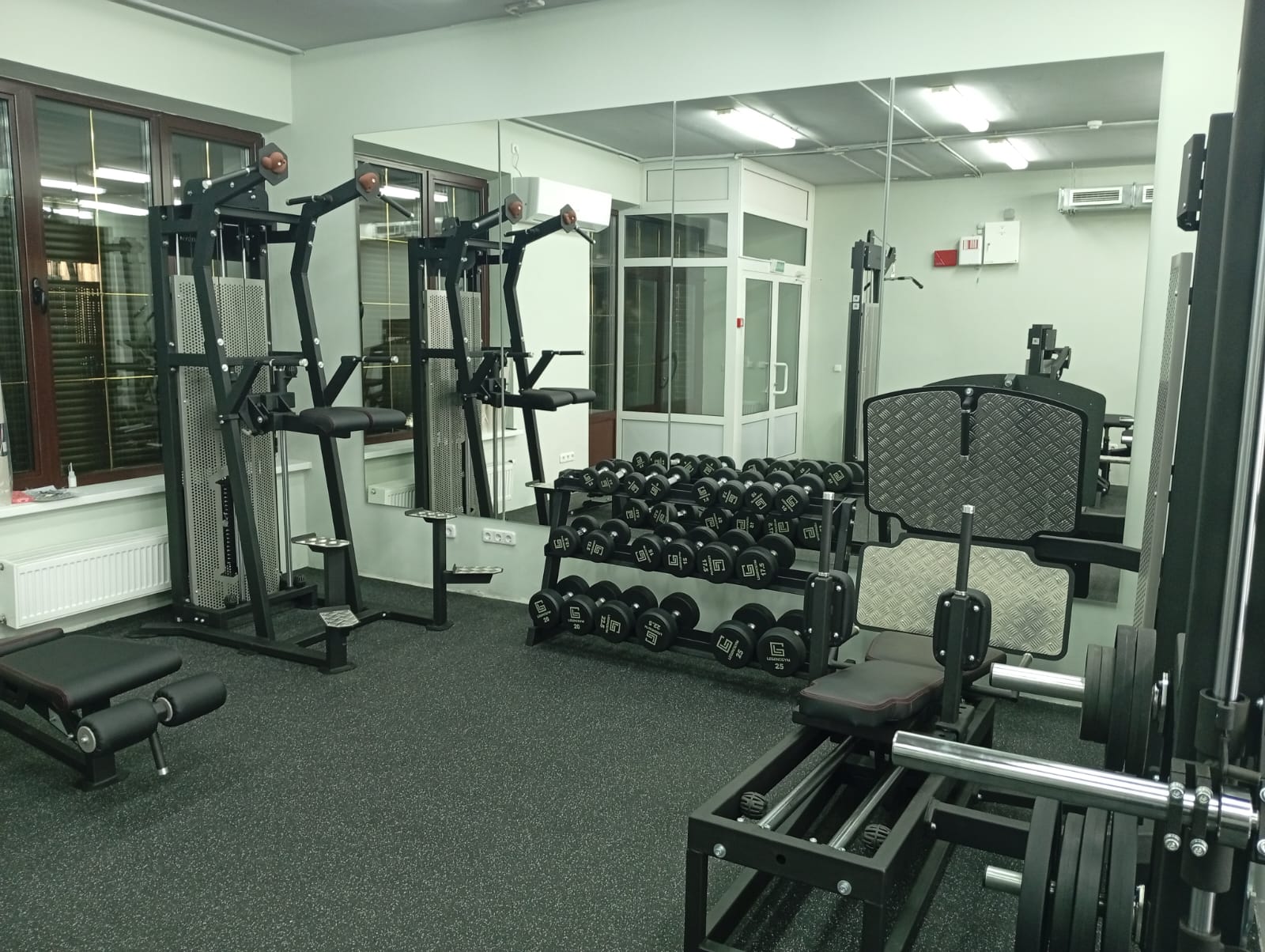 силовые тренажеры legendgym в СК Рогачев