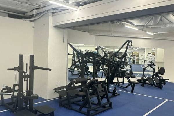 профессиональные силовые тренажёры LEGENDGYM в фитнес-клубе Blise Gym