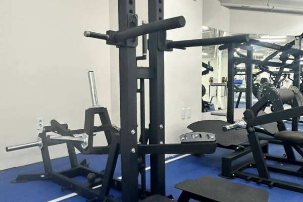 силовая зона Blise Gym с тренажёрами LEGENDGYM