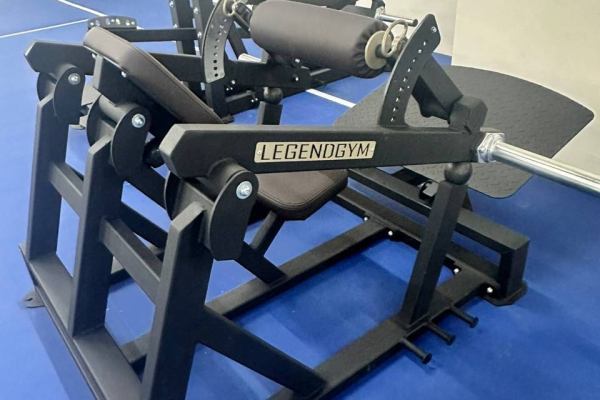 профессиональная силовая зона Blise Gym с оборудованием LEGENDGYM