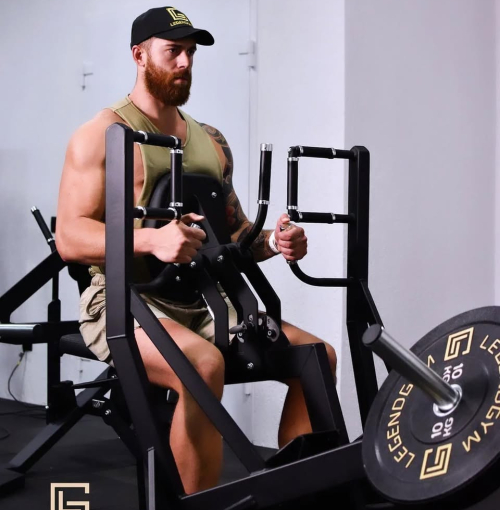 спортивные тренажеры legendgym на заказ