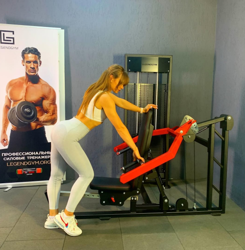 спортивные тренажеры legendgym на заказ